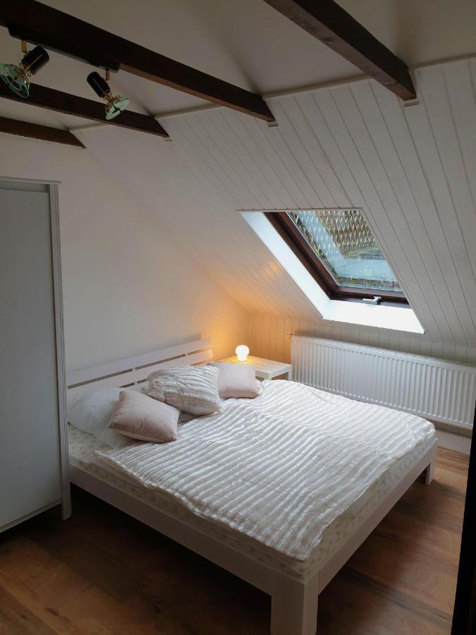 Saechsische-Schweiz-Ferienhaus-Wohnung-1-Mit-Elbblick-Sauna-Und-Kamin كونيجشتاين آن دير إلب المظهر الخارجي الصورة